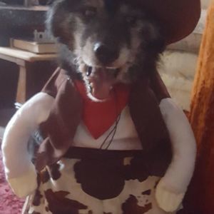 Meet your Posher, Johnny